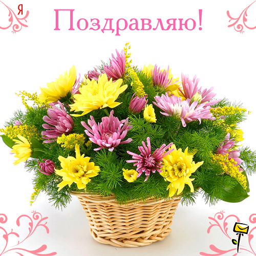 Открытки. Поздравляю! Желтые и розовые цветы с зеленью в ...