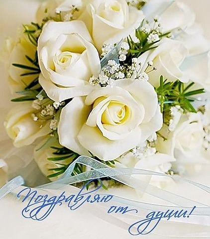 Поздравляю от души! Белые розы с лентами