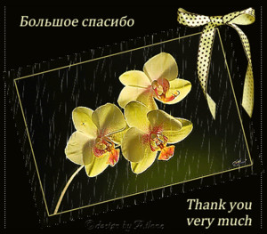  Большое спасибо! Орхидеи <b>желтые</b> 