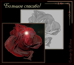  Большое спасибо! Красная <b>головка</b> розы и нарисованная роза 