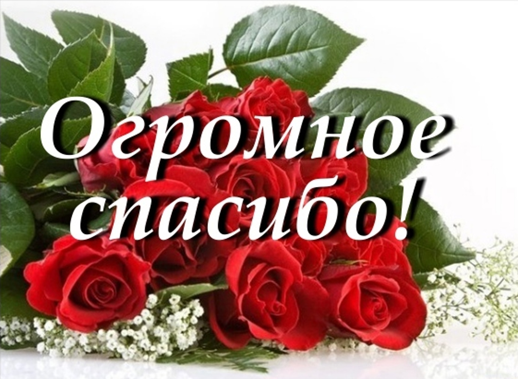 Открытки. Огромное Спасибо! Красные розы с белым