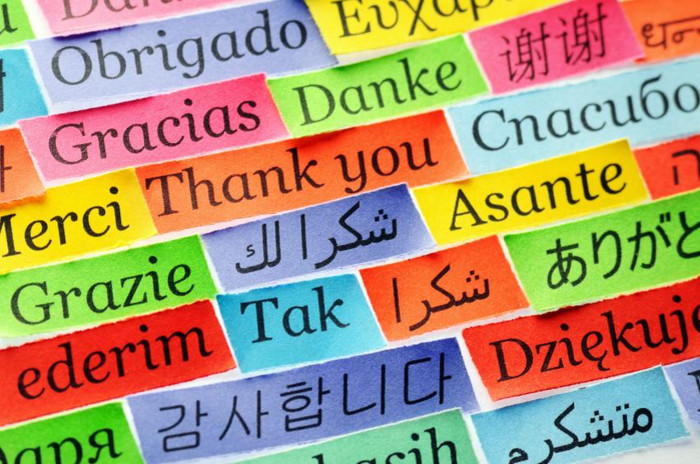 Спасибо! Разноцветные бумажки на разных языках мира