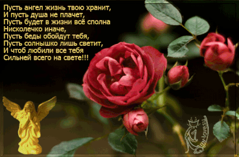 Октрытка благодарность.Красная роза