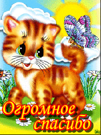 Огромное спасибо! Рыжий котенок с бабочкой на хвосте