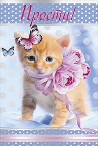 Прости! Котенок с цветами и бабочками