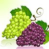  Две <b>грозди</b> красивого винограда 