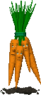 Пучок моркови