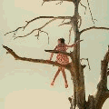 Девочка на дереве