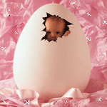 Ребёнок в яйце