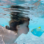 Ребенок под водой целует рыбку