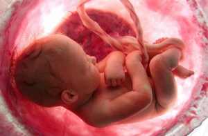  5 мая Международный день акушерки. <b>Малыш</b> в утробе матери 
