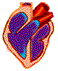 Таблица-сердце