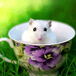  Белая <b>мышь</b> сидит на траве в чашке с цветочным узором 