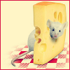 Мышка выглядывает из куска сыра