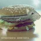 Мышь в гамбургере (приятного <b>аппетита</b>.) 