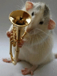 <b>Крыса</b> трубач 