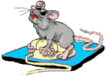 Мышка пытается понять компьютерную мышку