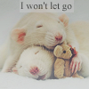 Две мышки спят с игрушкой (i won`t let go)