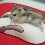 Мышка на мышке