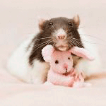 Мышка с розовым плюшевым зайцем, автор moonlightlady