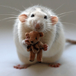 Крыса с мишкой в лапах