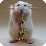 Крыса играет на трубе