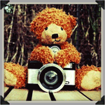  <b>Медведь</b> с фотоаппаратом на фоне природы 