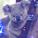 Малыш-коала на ветке