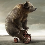 Медведь на детском велосипеде