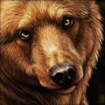 Бурый медведь на черном фоне. художник darkicewolf