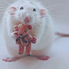 Белая мышь держит в руках игрушечного медвежонка
