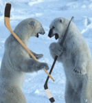 Медведи хоккеисты