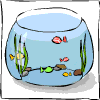 Рыбки плавают в аквариуме