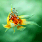 Золотая рыбка на нежном зеленом фоне
