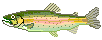  <b>Рыбка</b> (98) 