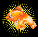 Золотая рыбка в солнечном свечении