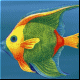 Рыбка многоцветная