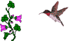 Птица, подлетающая к цветку