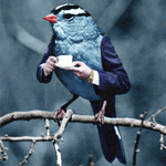 Птица сидит на веточке и <b>держит</b> белую чашку в руках 