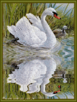  <b>Лебеди</b> отражается в воде. он прекрасен 