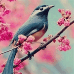 Синяя птица сидит на ветке с розовыми цветами
