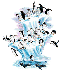  <b>Много</b> пингвинов 