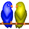  <b>Влюблённые</b> попугаи 