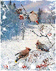  <b>Птицы</b> в зимнем лесу 
