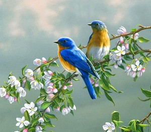  Открытки. День <b>птиц</b>! <b>Птицы</b> красивые на цветущей ветке 