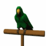  <b>Зеленый</b> попугай 