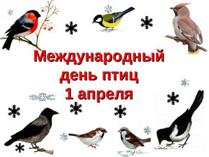  Всемирный день <b>птиц</b>! 