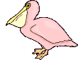  <b>Розовый</b> пеликан 