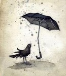 Ворон  зонтиком