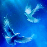 Голубь и голубка в воде